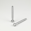 10B21 Hex Washer Head Concrete Screw Anchor M10-7.7*100