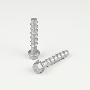 10B21 Hex Washer Head Concrete Screw Anchor M10-7.7*65