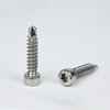 SUS304 Cup Head Torx Self Drilling Screw with EPDM Washer M6-1.81*25