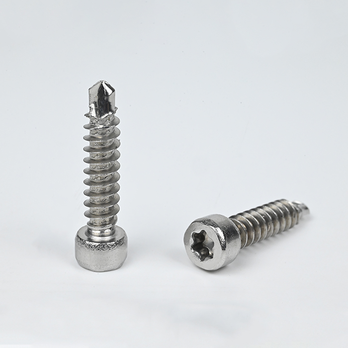 SUS304 Cup Head Torx Self Drilling Screw with EPDM Washer M6-1.81*25