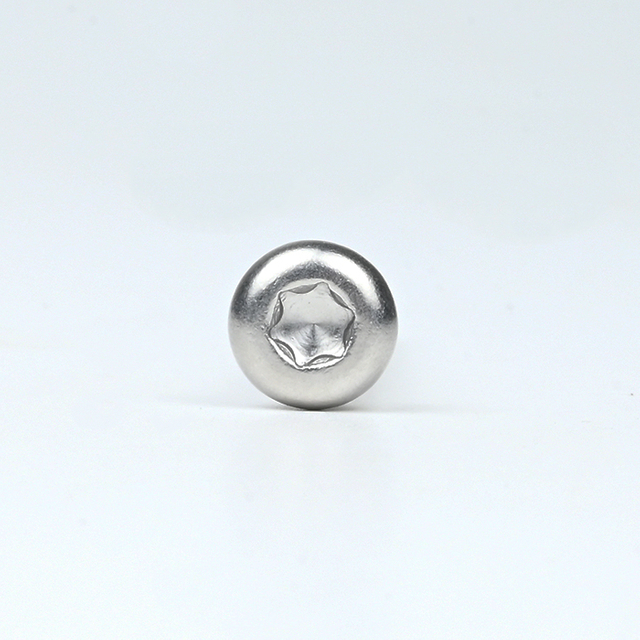 SUS410 Pan Head Torx Self Drilling Screw ST6.3-2.0*55 2#